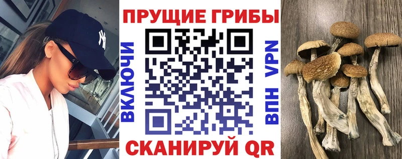 Галлюциногенные грибы Magic Shrooms  Лакинск 
